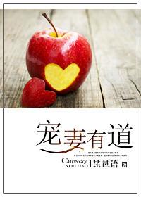 宠妻有道2五枂木棉结局