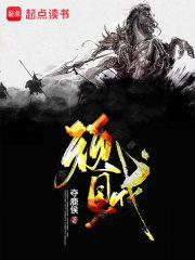 顽贼TXT精校版