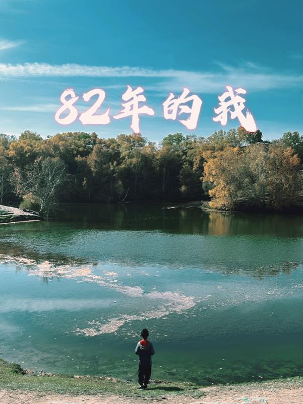 82 年