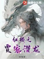 红楼之贾家长房