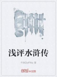 对水浒传的评价