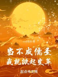 当不成儒圣我就掀起变革起点中文网