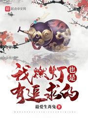 我燃灯也是有追求的意思吗