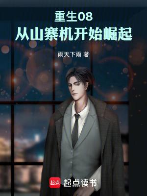 重生08从山寨机开始崛起篱笆好文学