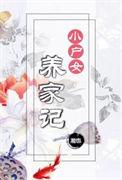 小户女养家记讲的什么