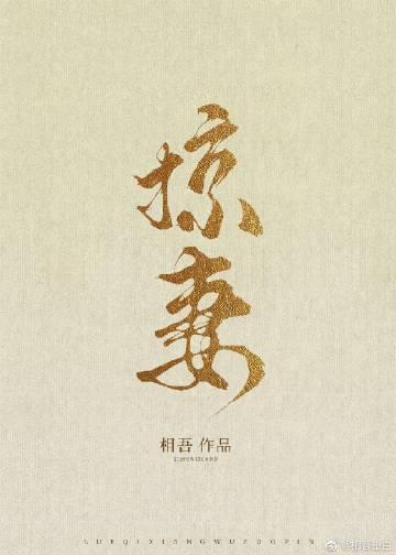 掠妻(强取豪夺)