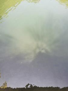 午夜超惊悚故事 鬼奶奶