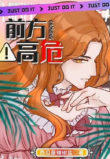 前方高危无限番外