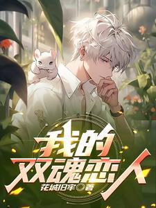 我的双魂恋人免费阅读