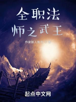 全职法师之王者归来