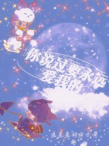 永远爱我是你说过