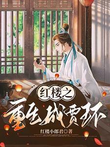 穿越红楼考科举的