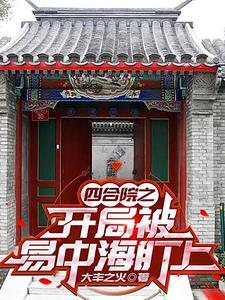 四合院让我搅得稀巴烂作者大丰之火