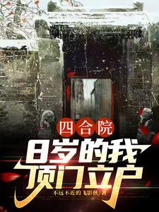 四合院8岁的我顶门立户 列表