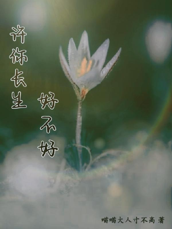 许你永生是什么意思
