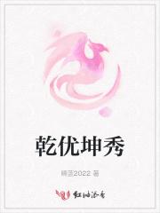新乾坤优速