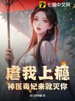 神医毒妃全