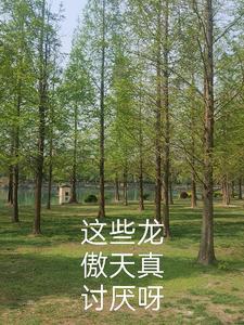 有没有龙傲天