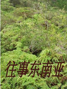 从缅北回来被专案组带走