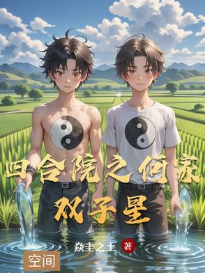 四合院之何家双子星最新章节列表