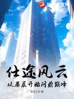 仕途风云之