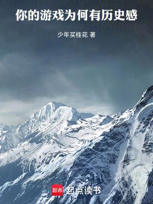 你的游戏为何有历史感起点中文网