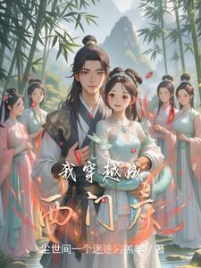 穿越成西门庆txt