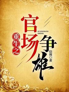 重生官场争雄乔红波