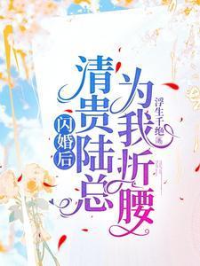 闪婚贵妻免费读全文