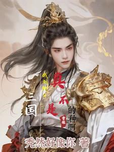 刘阿斗是啥意思