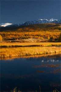 播放汪佳佳的歌