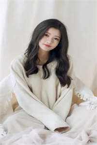 宝玉贾兰贾链灯谜