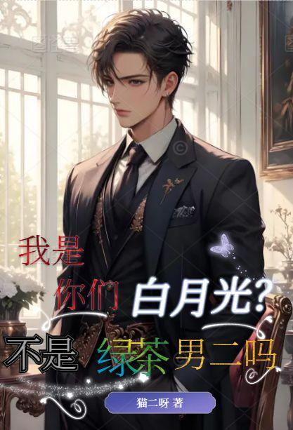 苏白柳如烟蔡坤