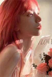 刘伯温与徐伯明