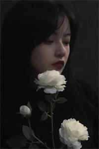 女主叫叶宝儿的