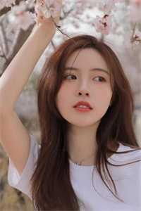 主角叫聂枫的玄幻