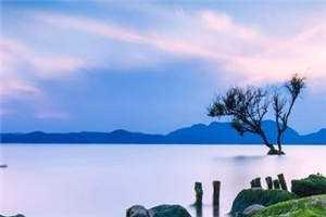 秦昊秦海璐同学