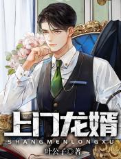 上门龙婿叶辰免费听书全集