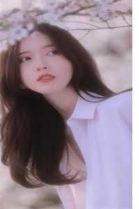 辰希沈诗旋全文