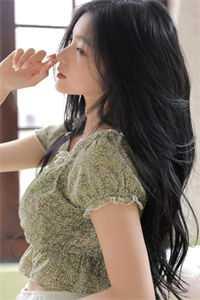 陆王是什么意思