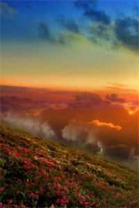 唐延淡纹抗皱眼霜怎么样