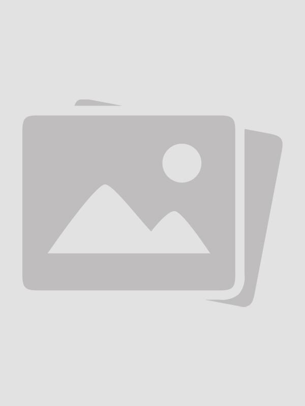 爱已入冬沈峤林溪雨