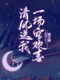 清风送来你的容颜是什么歌曲中的句子