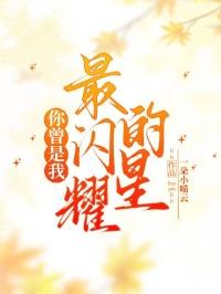你曾是我最闪耀的星辰
