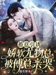 娇软尤物总被傅总亲哭免费阅读