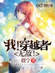 穿越者穿越了自己扫书