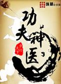 功夫神医杨飞全本免费
