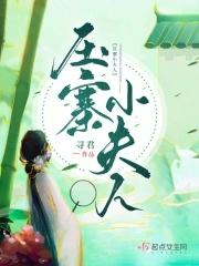 压寨小夫人 寻君