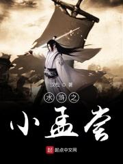 穿越水浒之荡寇枭雄