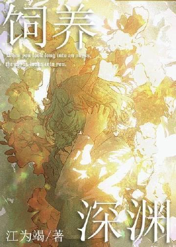 如何投喂一只深渊类似